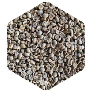 ブラジル アルタ モジアナ