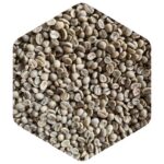 タンザニア エーデルワイス農園