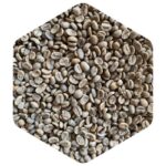 コスタリカ サンルイス農園