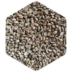 エルサルバトル ラス トレスSHG