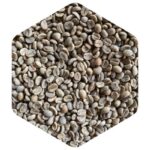 ニカラグア ラ エストレージャ農園