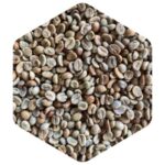 パプアニューギニア ネビリエールバレー