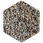 ブラジル ショコラピーベリー