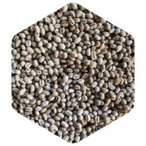 ブラジル ショコラピーベリー